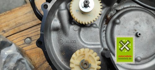 IMG_20230827_132253